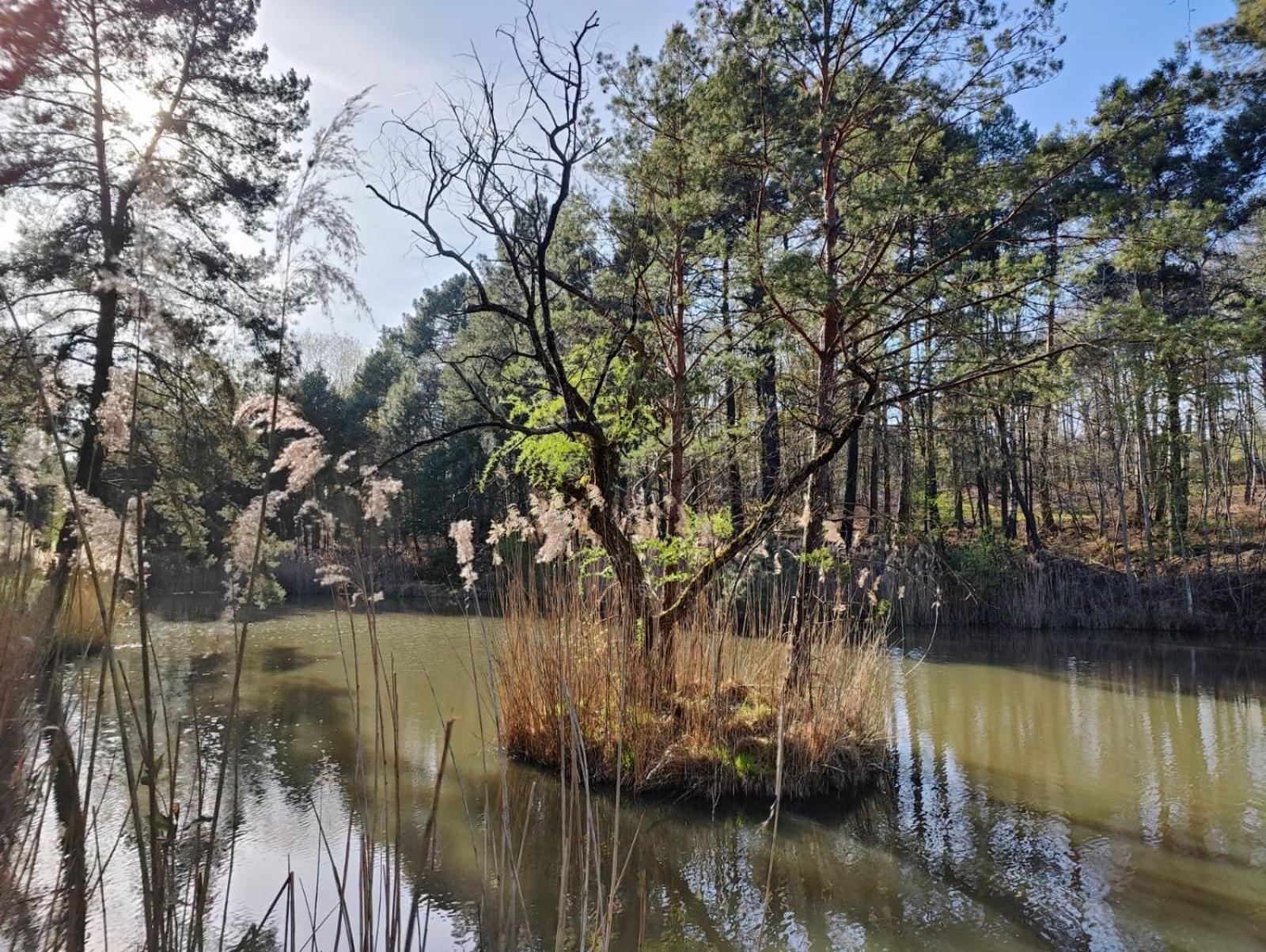 Les Chambres De Charnay - Calme Charme Et Confort Piscine A 5 Mn Du Peage Vierzon Extérieur photo